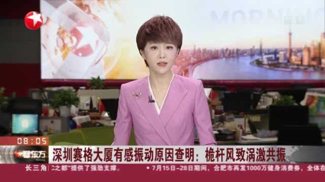 深圳赛格大厦有感振动原因查明:桅杆风致涡激共振