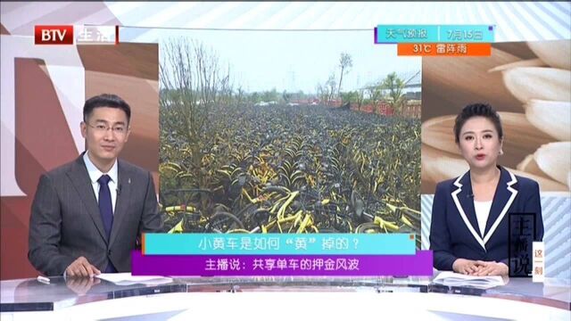 主播说:共享单车的押金风波 小黄车是如何“黄”掉的?