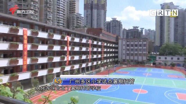 广州:各区小学生暑期托管陆续开班,家长们拍手称赞|城事特搜