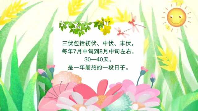 三伏养生小贴士