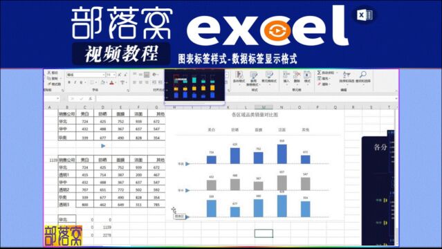 excel图表标签样式视频:数据标签显示格式