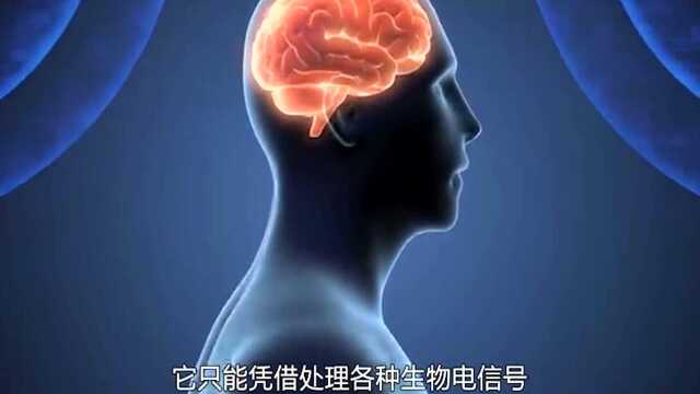 五个科学无法解释的谜团,每一个都超出了人类的认知范围,让我们的好奇心更强烈 #“知识抢先知”征稿大赛#