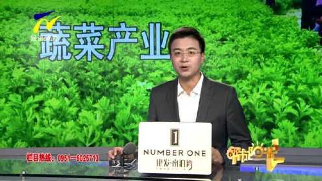 【阳光关注】宁夏推动蔬菜产业绿色化高端化 奋力走好农业高质量发展新征程