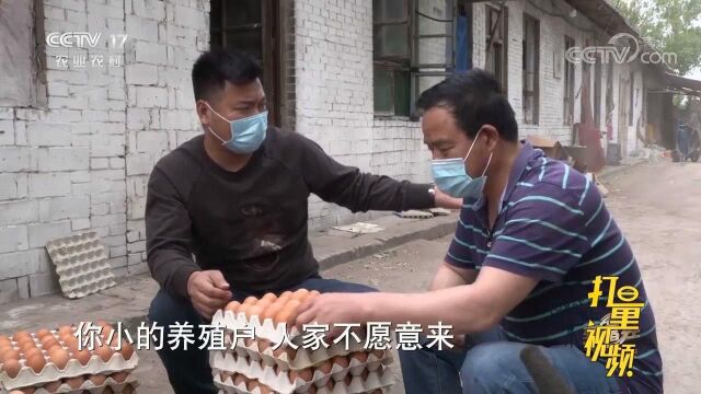 与男子合作的蛋鸡养殖户超过了1300户,年销售额接近2亿元