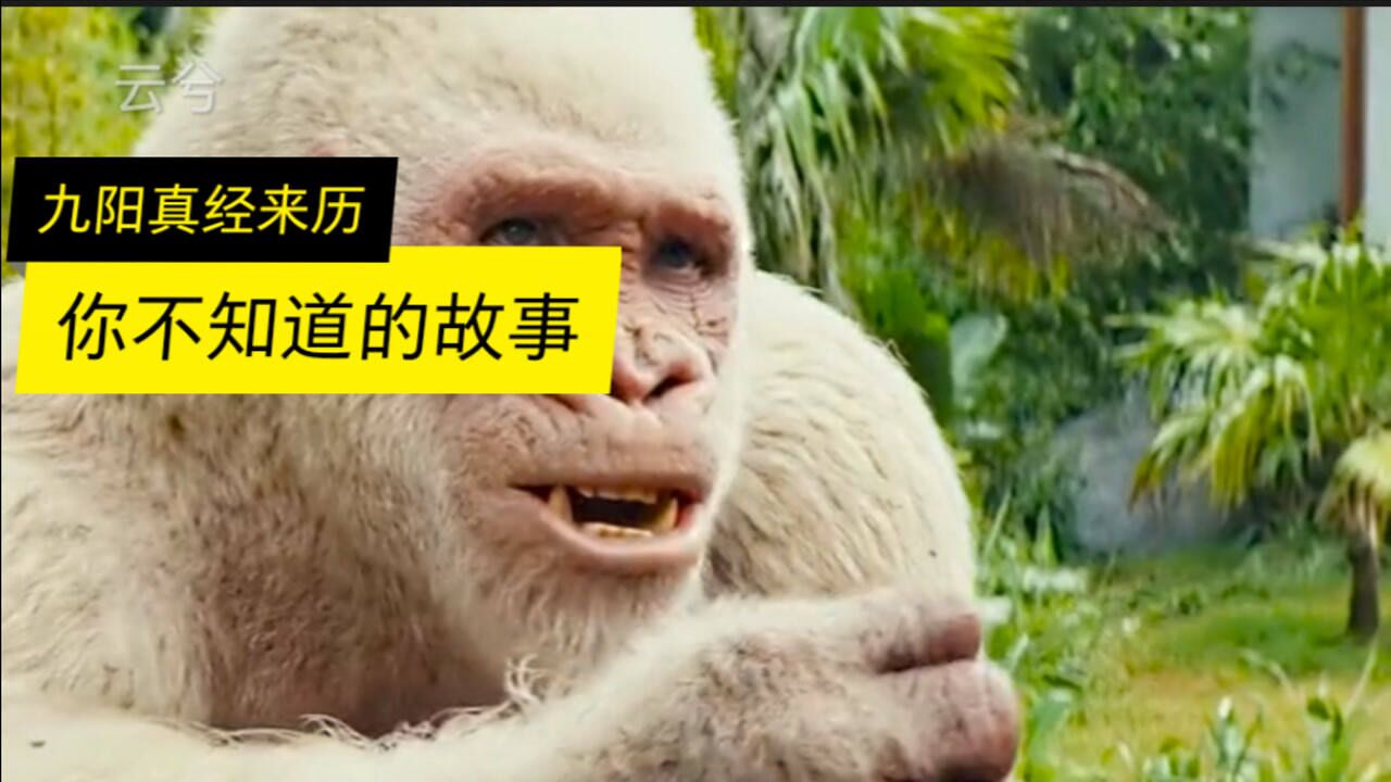 解密倚天屠龙记中白猿肚子里的九阳真经是谁放的