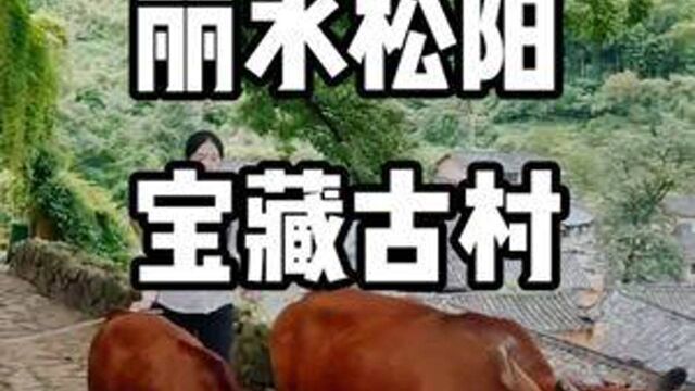 给你50w在这呆5年,有网有手机有人陪,你愿意吗?#丽水宝藏古村 #旅行大玩家