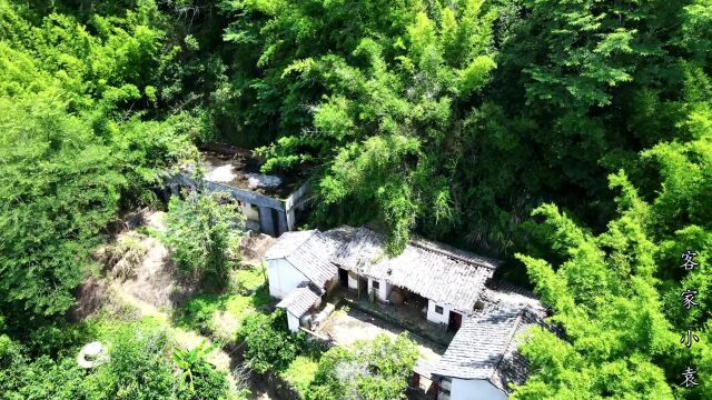 广东山里居住独户人家,每次出门都能挣大钱,没想到房子是这样子