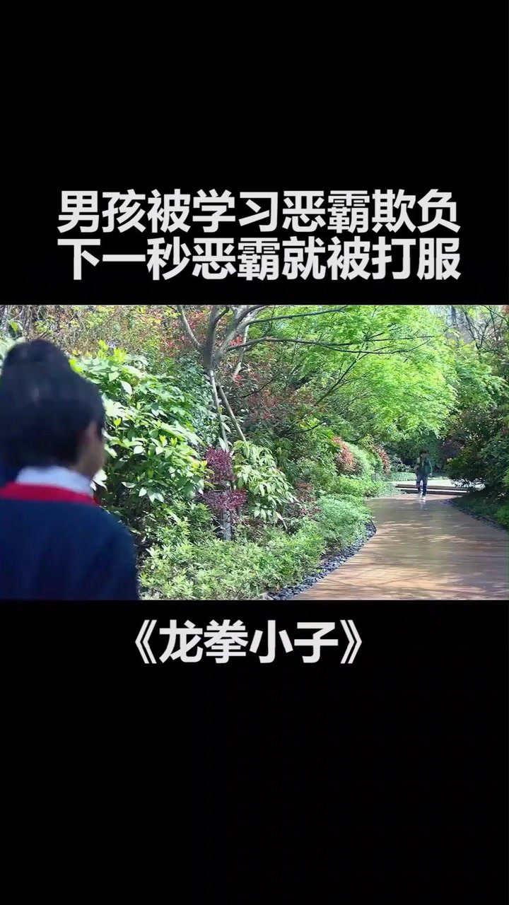 龍拳小子不要隨便欺負同學他可能是個高手龍拳小子