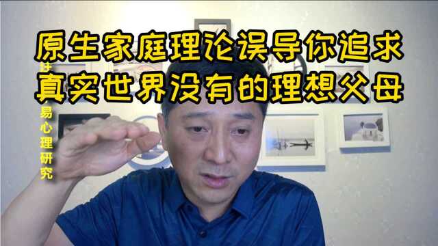 原生家庭理论,构建了一个在现实中,几乎不存在的虚幻的理想父母