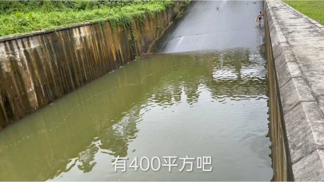 水库泄洪关闸过后,在400平大水坑里下网,看看能抓多少鱼?