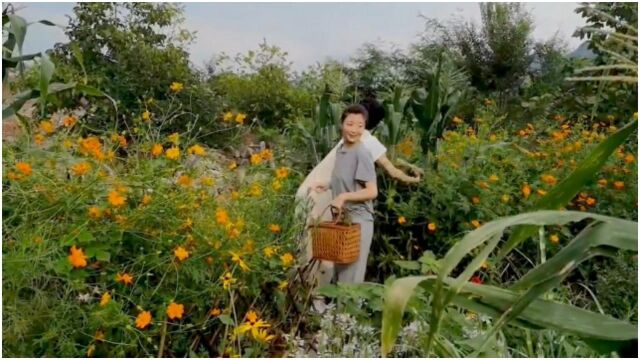 殷桃5000平豪宅曝光,多个会客厅园林一应俱全,甜喊老公疑似已婚