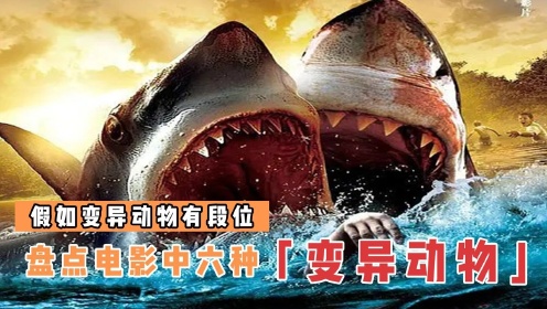 盘点电影中的6种变异动物，双头鲨鱼化身深海杀手，巨型飞蛇大战金刚#鹅叔放映厅·八月暑期档#