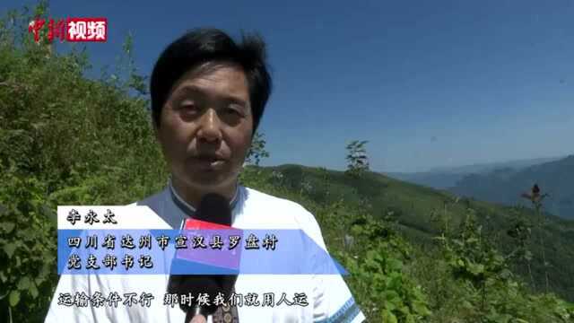 四川:小“山路”打通大峡谷化身巴山深处致富路