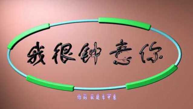 《象与骑象人》我们如何能够获得幸福