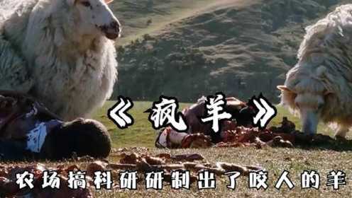 惊悚电影《疯羊》:感染病毒的羊群，不吃草反吃人，很快占领农场#电影HOT短视频大赛 第二阶段#