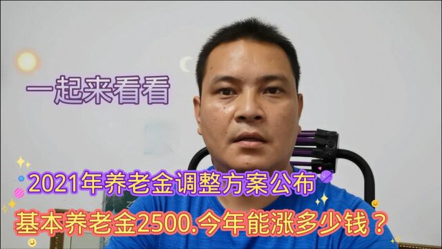 2021年养老金调整方案公布,基本养老金2500元,今年能涨多少钱?