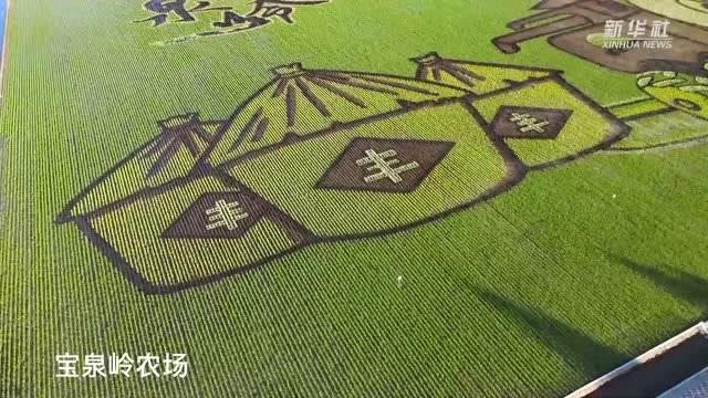 画在稻田里的"北大荒"
