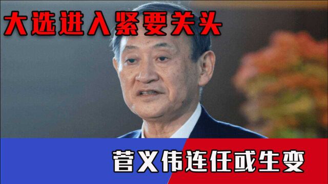 大选进入紧要关头,日本党内派系又有新动向,菅义伟连任或生变?