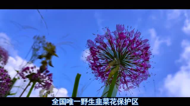 9月,有一个叫“韭菜坪”的地方,必将惊艳你的双眼