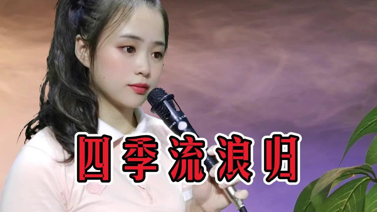 一首四季流浪归听哭了四季流浪把梦追思念亲人家难归