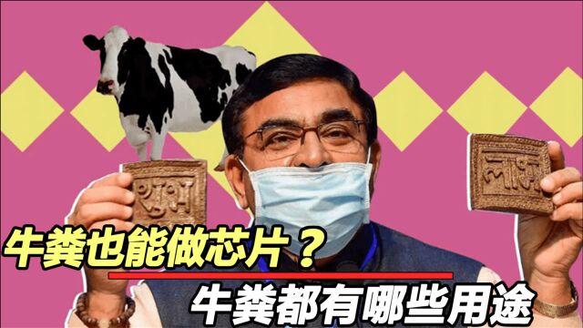 印度造“牛粪”芯片?可抵御高辐射?印度科技领先世界?