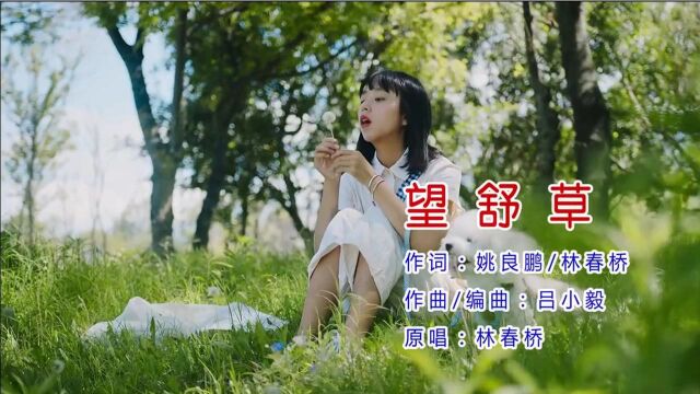 望舒草林春桥 作词:姚良鹏 作曲:吕小毅