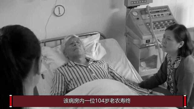 四川104岁老农逝世,儿子办死亡证明时,竟然在档案中发现其惊人身份!