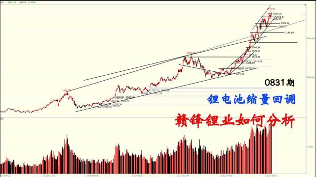 锂电池概念缩量回调,赣锋锂业开始滞涨,下方支撑在哪里?