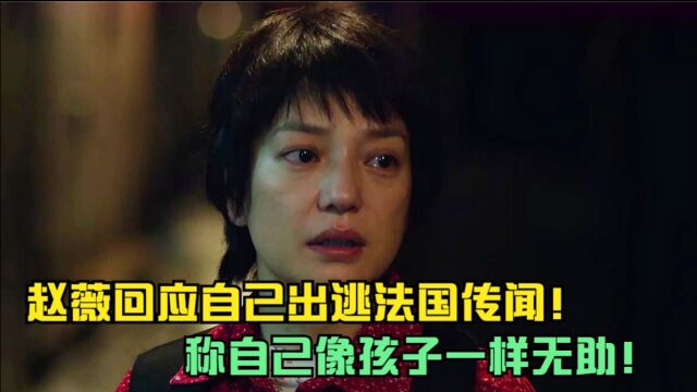 赵薇终于低调发声,疑似回应自己跑路传闻,内容信息量很足!