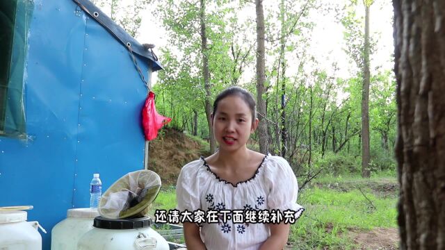 哪些人不能吃蜂蜜,你知道吗?听养蜂小妹跟你说