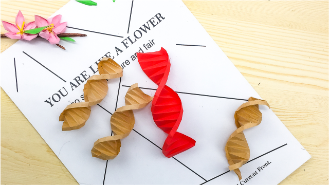 dna折纸原来这么简单啊,快来和我一起折一个看看有多简单