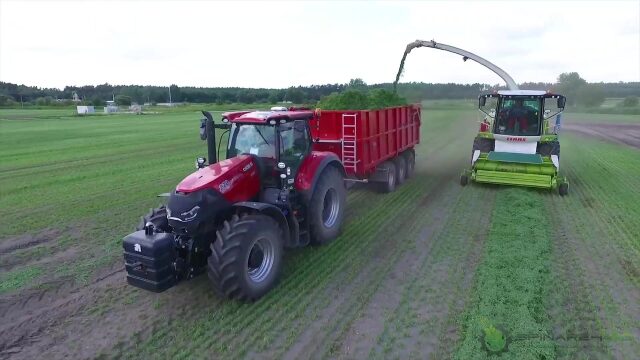 大马力拖拉机协同运输青贮,看欧洲农场工作日常过过眼瘾
