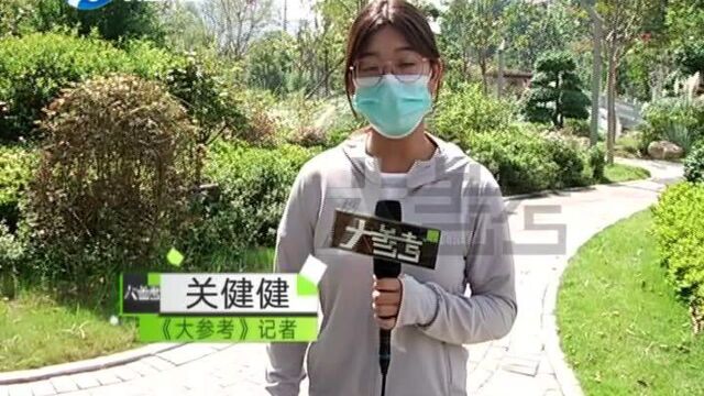 河南安阳:出彩安阳金秋惠游!双节来临安阳推出旅游优惠大礼包