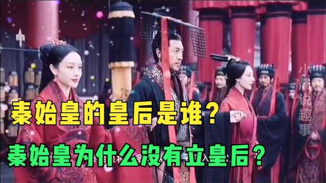 秦始皇的皇后是谁,为何无人提及?秦始皇为什么没有立皇后?