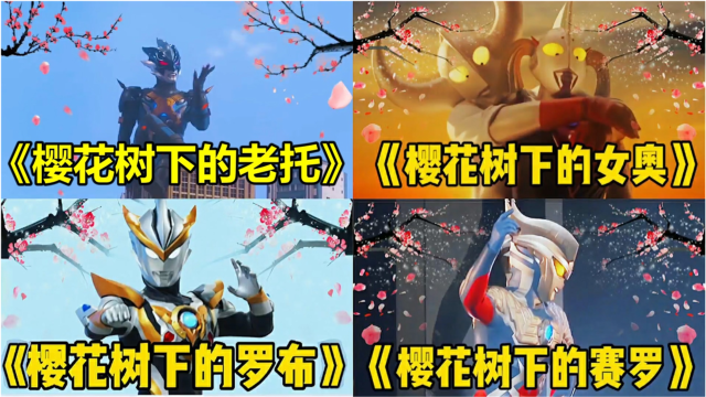 4个不同版的樱花树下的重逢格丽乔好可爱赛罗都听懵了