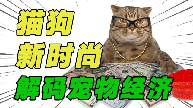 宠物经济为什么会火?猫狗的生意好做吗?未来的风口机会在哪?