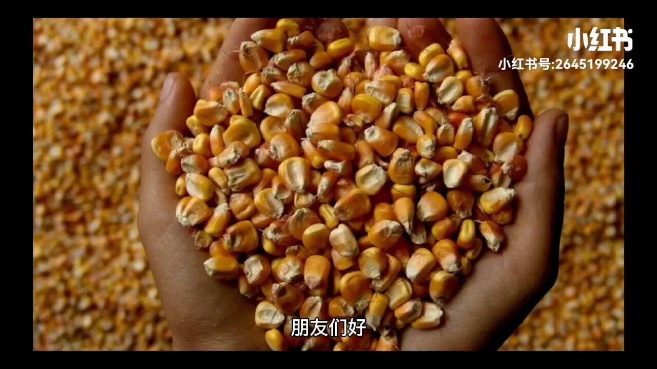 期货品种上下游分析的侧重点是什么腾讯视频