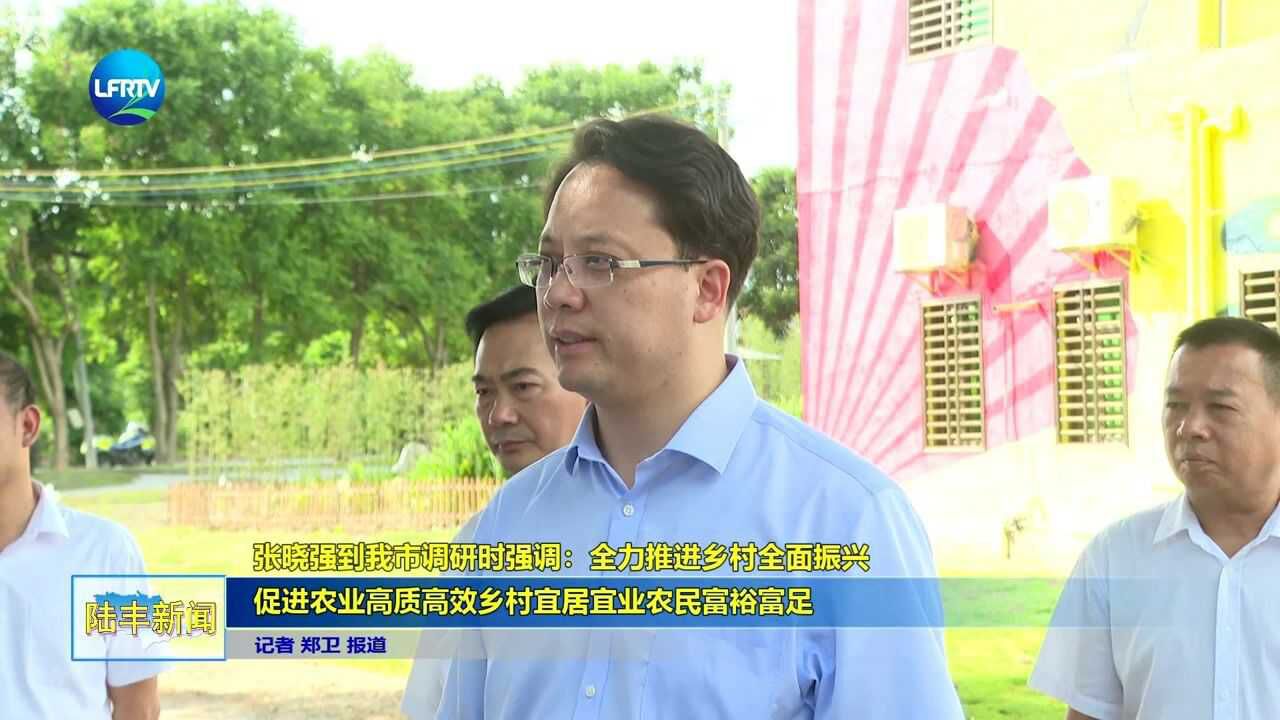 张晓强到我市调研时强调：全力推进乡村全面振兴促进农业高质高效乡村宜居宜业农民富裕富足_高清1080P在线观看平台_腾讯视频