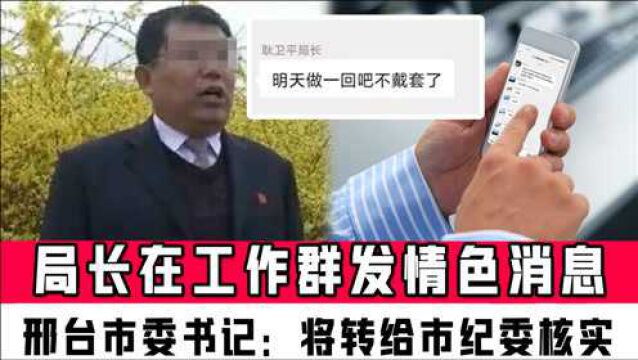 邢台一局长在74人工作群发情色消息,邢台市委书记:将转给市纪委核实