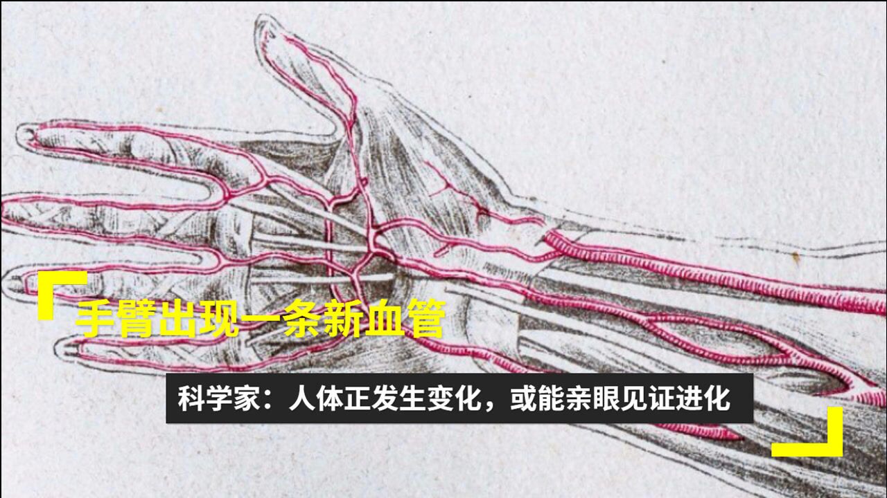 手臂出现一条新血管!科学家:人体正发生变化,或能亲眼见证进化_高清1080P在线观看平台_腾讯视频