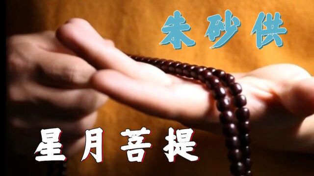 【欣赏】美丽的“朱砂供”星月菩提,神秘而庄重,珍贵至极!