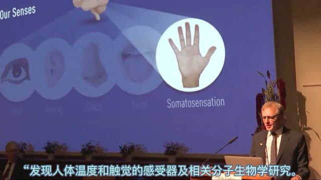 两位美国移民科学家分享2021年诺贝尔生理学或医学奖,揭示人体感受器的秘密