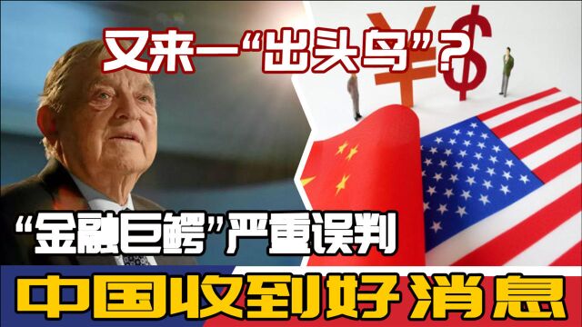 又来一“出头鸟”?“金融巨鳄”严重误判,中国收到好消息