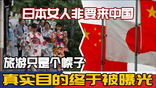 日本女人非要来中国,旅游只是个幌子,真实目的终于被曝光