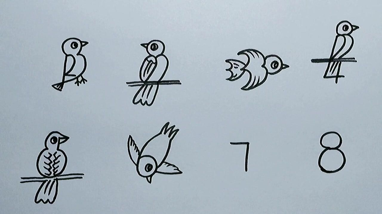 儿童简笔画用数字画8只不同的鸟太神奇了