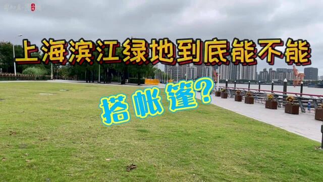 上海滨江绿地到底能不能搭帐篷?