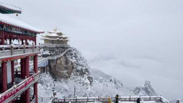 又下雪啦!雪后的老君山惊艳了整个秋天!