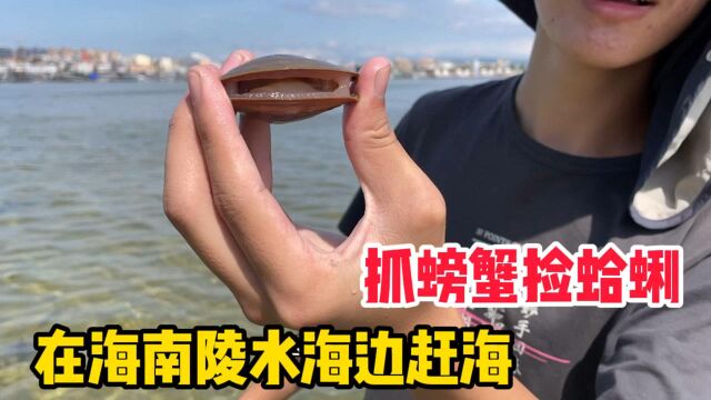 海边赶海抓螃蟹捡蛤蜊,看看能抓多少海鲜?