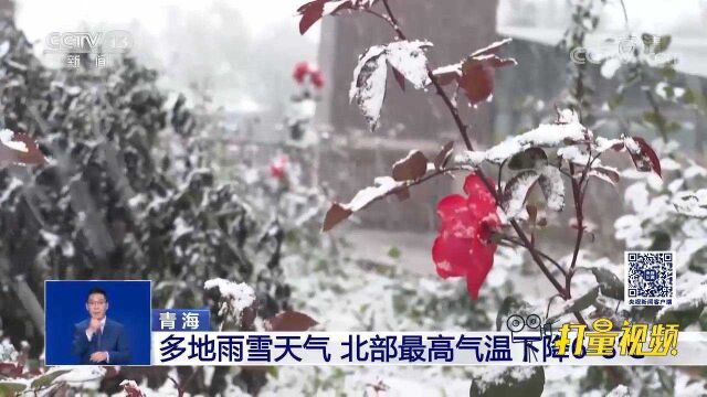 青海:多地迎来雨雪天气,北部最高气温下降68℃