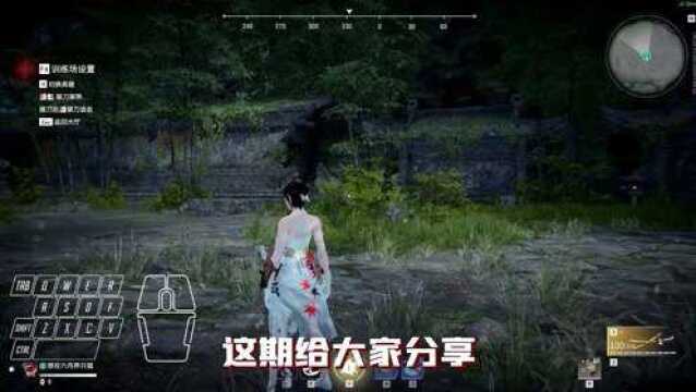 顶级身法教程来啦!关于点闪无敌帧的使用.#永劫无间 #永劫无间教学